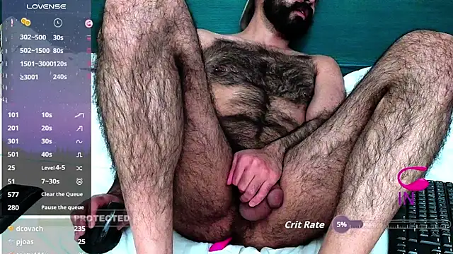 Show webcam de hairyale