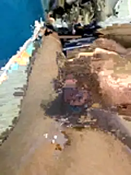 Show de webcam de wrdew