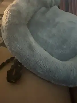 Chat +18 de nickytheehawtie ao vivo