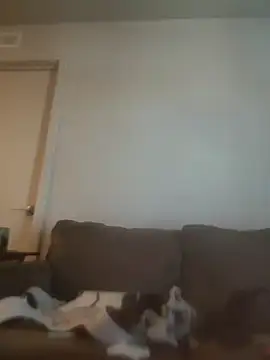 yourMasterisBored Chat XXX in diretta