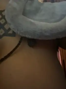 Czat XXX na żywo – nickytheehawtie