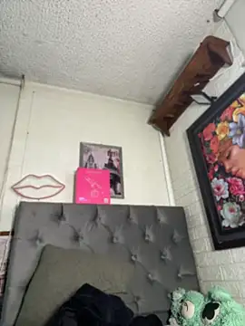 Show modela SALOME_KORLAND na web-kameri