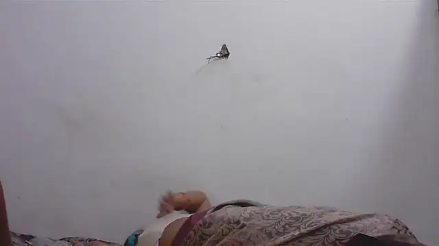 Chat +18 de hard_to_do__ ao vivo