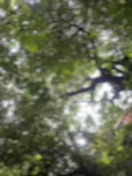 yoursexyjosen Webbikameraesitys