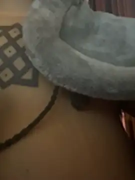 แชท XXX สดของ nickytheehawtie