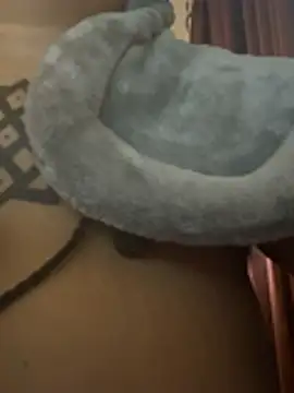 nickytheehawtie's Live XXX Chat