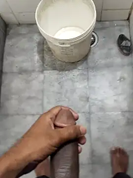 Show Webcam de 8inchhere