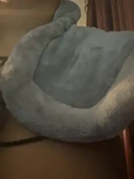 nickytheehawtie Live XXX Chat