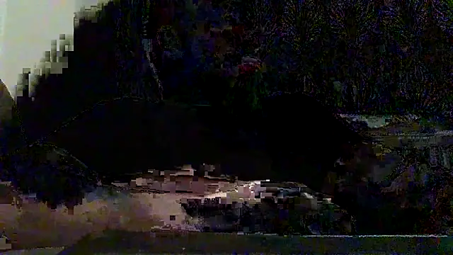 Show Webcam de FROL83