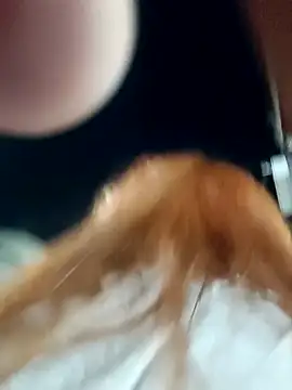 Xeena_のライブXXXチャット