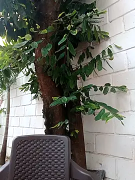 liyana_azizのライブXXXチャット