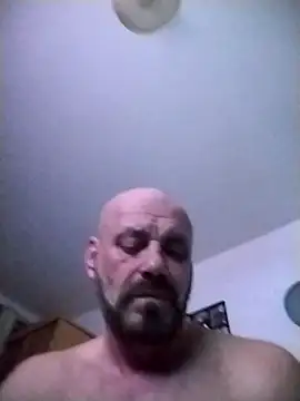 wilkalfa Show Webcam