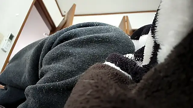 07YUKIOのウェブカメラショー