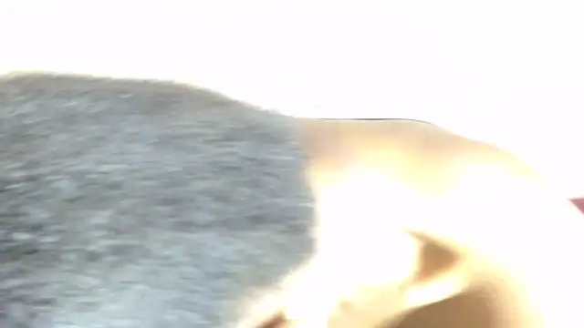 Nellybba Live XXX-chat