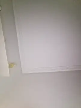 zafiro19@xh Webcamshow