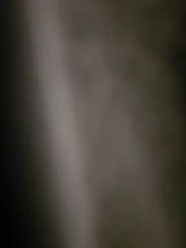 OssiBigCum 网络视讯表演