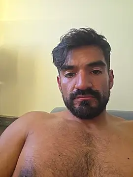 Show webcam de piggylatino