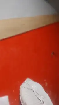 Klaudius6969 – Kamerová šou