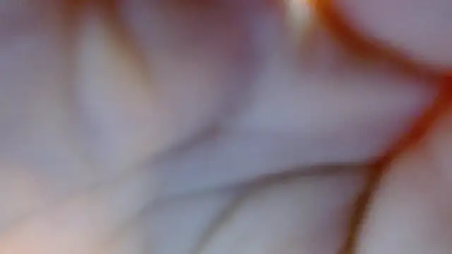 katniss_everdeen_ লাইভ XXX চ্যাট