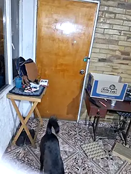 old_soul_and_young_spirit Webcamshow