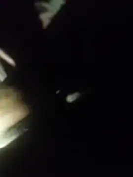 Thaps_deDick Pertunjukan Webcam