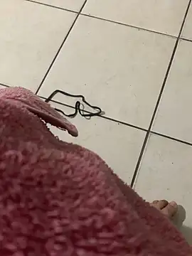 pedropal Webcam-Show