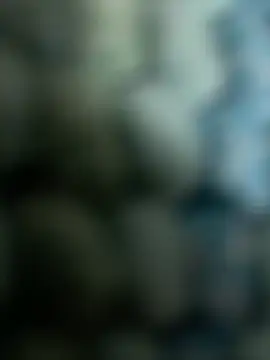 307daddyfucker: вебкам-шоу