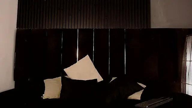 Show de Logan_Steel na webcam