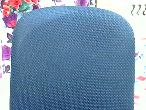 Meghla_nodiのウェブカメラショー