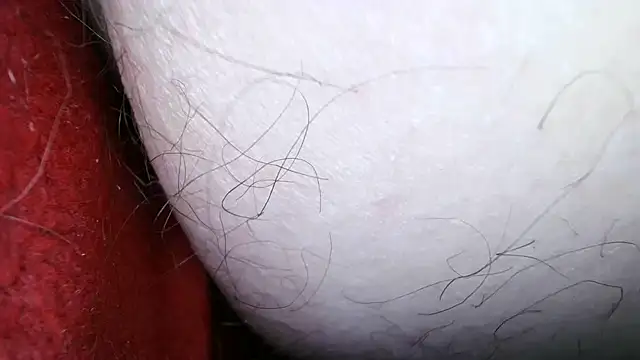 Ursulet_US: διαδικτυακό σόου στην κάμερα