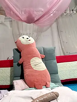 MilkShow 网络视讯表演