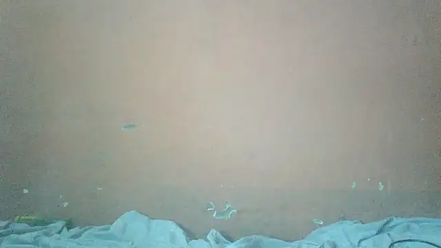 Chat XXX en directo de Sexyass100