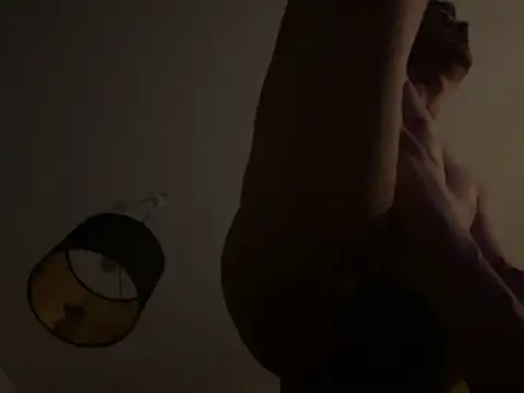 deskriptive Show in webcam