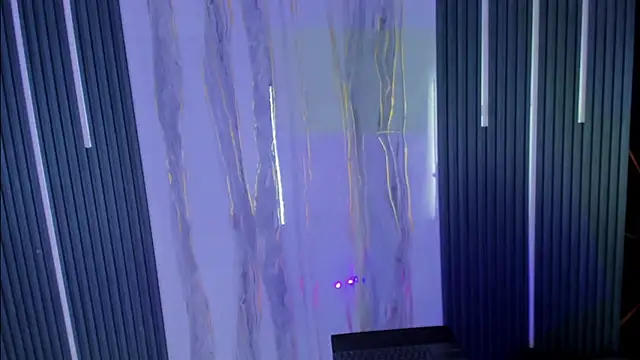 The_King_Swit – Kamerová šou