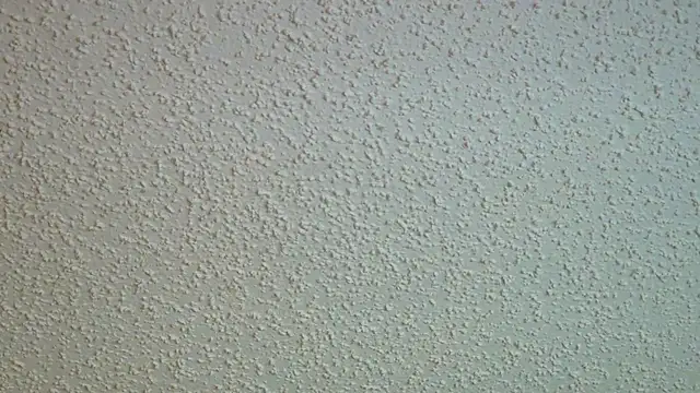 PNPSPUN1 Live XXX-chat