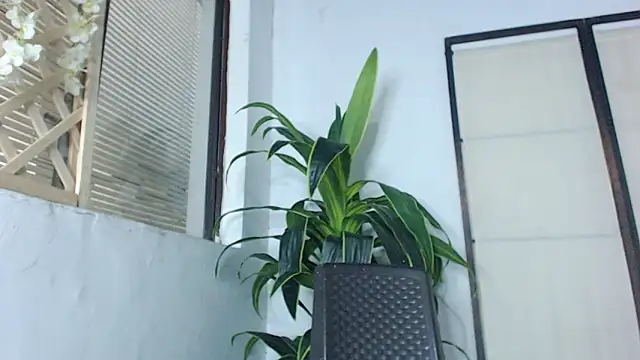 Astrid_Porno Webcamshow