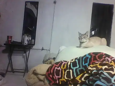 Živý XXX chat Mich76