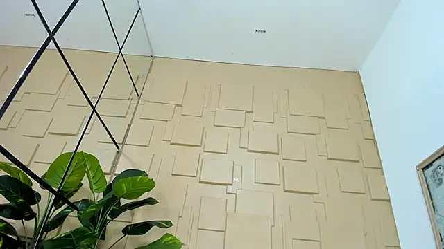 Webkamerová show AkyraEbonyy