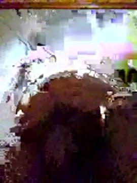 Chat XXX en directo de Ambush_Sword67