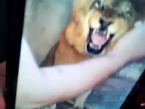 Chat XXX en directo de Anaconda2350