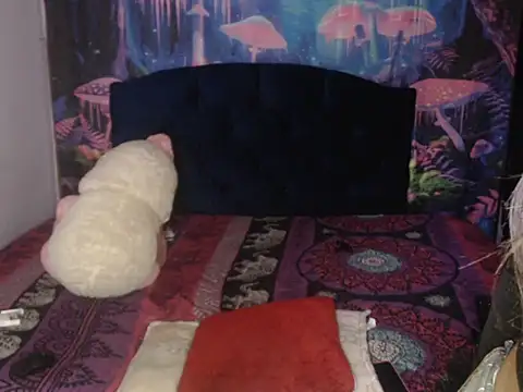 12_zasha_18 Webcamshow