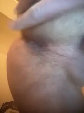 InferredPloce Webcam show