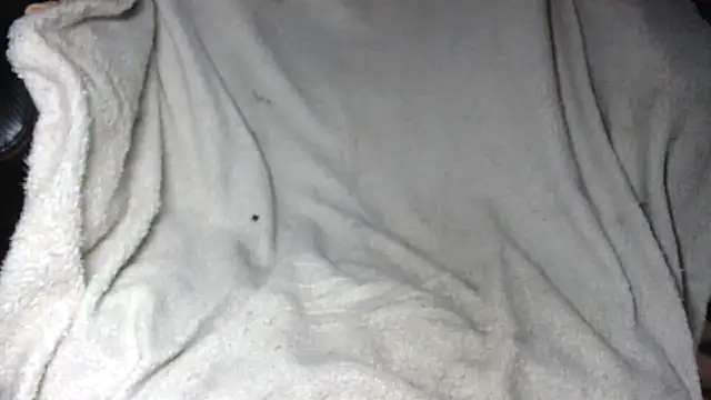 voda66666 Pertunjukan Webcam