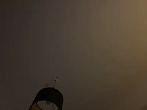 deskriptive Webcam show