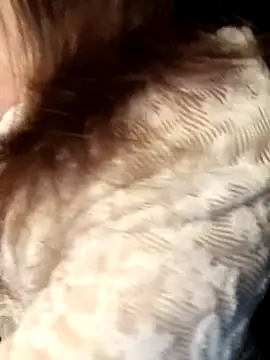 Chat +18 de Girl-crazy1 ao vivo