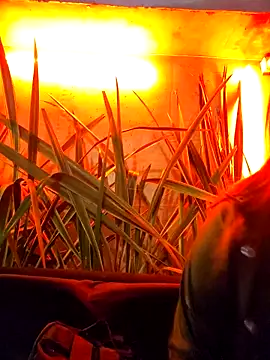 katty_42's Live XXX Chat