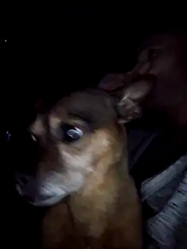 FrankieFuckMe webkamerás műsora