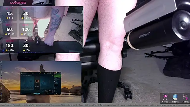 Show webcam de hgr161