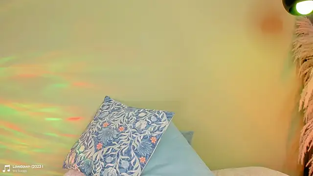 แชท XXX สดของ Fluffygarden