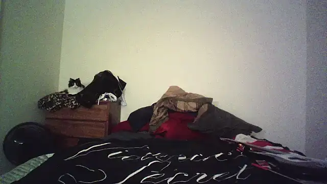 LyssaDragonshadown Webbikameraesitys